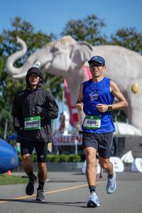 BIB: 
                            <button type="button" onclick="openModal(26544855)" class="btn btn-primary btn-sm float-right btn-popup" data-toggle="modal" data-target=".modal-high-quality">
                        <i class="fas fa-shopping-cart"></i> Add to Cart
                    </button>
                                            <button type="button" onclick="isThisMe(26544855, true)" class="btn btn-success btn-sm float-right btn-popup btn-isme hidden" data-toggle="tooltip" data-placement="bottom" title="นี่คือรูปของคุณใช่ไหม คลิกที่นี่เพื่อเอาเข้าอัลบั้ม">
                        <i class="fas fa-plus"></i> Add to album
                    </button>
                    <button type="button" onclick="isThisMe(26544855, false)" class="btn btn-warning btn-sm float-right btn-popup btn-isnotme hidden">
                        <i class="fas fa-ban"></i> Remove from album
                    </button>